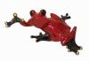 Сувенир Лягушка - Frog ( red)