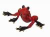 Сувенир Лягушка -3025051 Frog ( red)