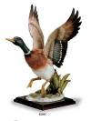 Statuetes  Florence - Macaw - Flyeng mallard